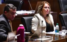 Foto de la galería: Legislatura: Misiones se adhirió a la ley nacional que regula los contratos del sector público