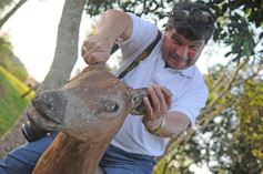 Foto de la galería: Recorrido por el Parque Ecológico El Puma de Candelaria