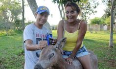 Foto de la galería: Recorrido por el Parque Ecológico El Puma de Candelaria