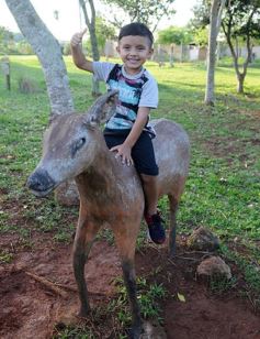 Foto de la galería: Recorrido por el Parque Ecológico El Puma de Candelaria