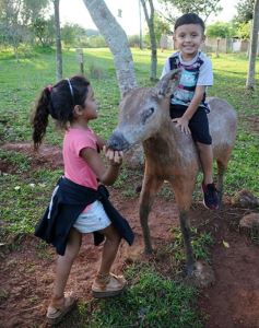 Foto de la galería: Recorrido por el Parque Ecológico El Puma de Candelaria