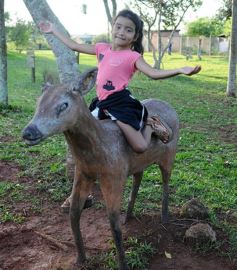 Foto de la galería: Recorrido por el Parque Ecológico El Puma de Candelaria