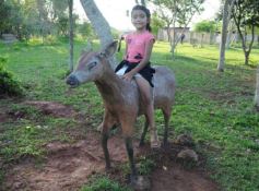 Foto de la galería: Recorrido por el Parque Ecológico El Puma de Candelaria