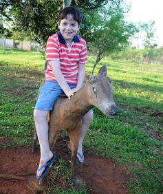 Foto de la galería: Recorrido por el Parque Ecológico El Puma de Candelaria