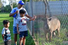 Foto de la galería: Recorrido por el Parque Ecológico El Puma de Candelaria