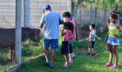 Foto de la galería: Recorrido por el Parque Ecológico El Puma de Candelaria