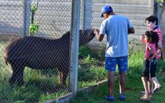 Foto de la galería: Recorrido por el Parque Ecológico El Puma de Candelaria