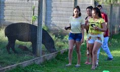 Foto de la galería: Recorrido por el Parque Ecológico El Puma de Candelaria