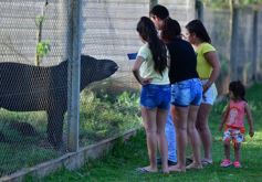 Foto de la galería: Recorrido por el Parque Ecológico El Puma de Candelaria