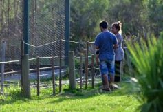 Foto de la galería: Recorrido por el Parque Ecológico El Puma de Candelaria