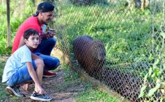 Foto de la galería: Recorrido por el Parque Ecológico El Puma de Candelaria