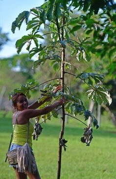 Foto de la galería: Recorrido por el Parque Ecológico El Puma de Candelaria