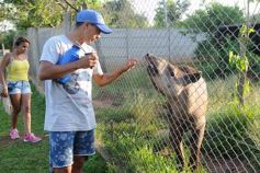 Foto de la galería: Recorrido por el Parque Ecológico El Puma de Candelaria