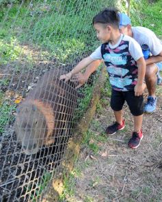 Foto de la galería: Recorrido por el Parque Ecológico El Puma de Candelaria