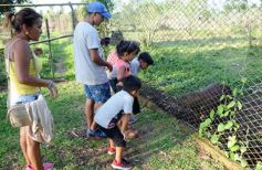 Foto de la galería: Recorrido por el Parque Ecológico El Puma de Candelaria