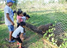 Foto de la galería: Recorrido por el Parque Ecológico El Puma de Candelaria