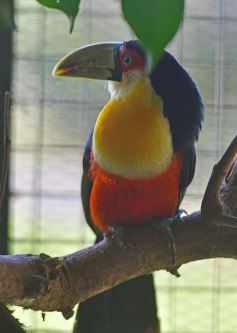 Foto de la galería: Recorrido por el Parque Ecológico El Puma de Candelaria