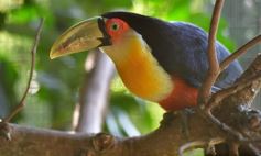 Foto de la galería: Recorrido por el Parque Ecológico El Puma de Candelaria