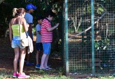Foto de la galería: Recorrido por el Parque Ecológico El Puma de Candelaria