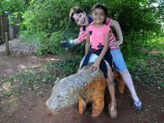 Foto de la galería: Recorrido por el Parque Ecológico El Puma de Candelaria