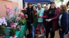 Foto de la galería: Postales de Posadas y su gente maravillosa