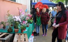 Foto de la galería: Postales de Posadas y su gente maravillosa
