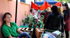 Foto de la galería: Postales de Posadas y su gente maravillosa