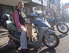 Foto de la galería: Postales de Posadas y su gente maravillosa