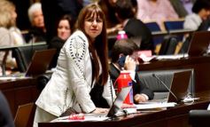 Foto de la galería: La Cámara reguló la utilización de radares de control de velocidad