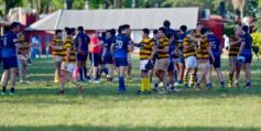 Foto de la galería: Super 8 de rugby: el partido que le dio la clasificación a CAPRI