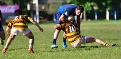 Foto de la galería: Super 8 de rugby: el partido que le dio la clasificación a CAPRI