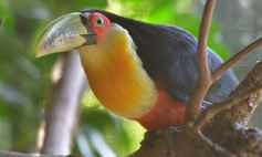 Sixto Fotografías. Sociedad. Varios - Recorrido por el Parque Ecológico El Puma de Candelaria