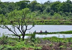 Foto de la galería: La EBY habilita la conexión vial entre Campo Bauer y Nemesio Parma