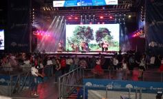 Foto de la galería: Festival Nacional de la Música del Litoral: postales mágicas de la primera noche