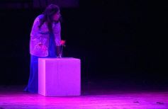 Foto de la galería: Talentos Posadas cerró el año con su gala en el Montoya