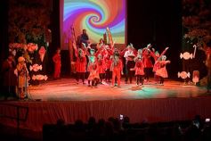 Foto de la galería: Talentos Posadas cerró el año con su gala en el Montoya