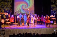 Foto de la galería: Talentos Posadas cerró el año con su gala en el Montoya