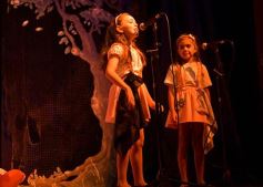 Foto de la galería: Talentos Posadas cerró el año con su gala en el Montoya