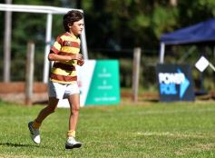 Foto de la galería: Los Toros se llevaron todas las miradas en el Seven del Tacurú
