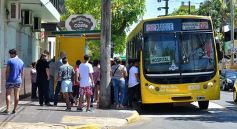 Foto de la galería: Posadas y su gente, una de las últimas recorridas de 2018