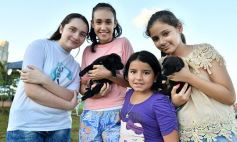 Foto de la galería: Tarde en la Cascada, vacaciones en Posadas