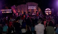 Foto de la galería: "Concierto en el Monte" en el Parque Temático de La Cruz de Santa Ana