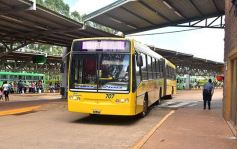 Foto de la galería: Momento de renovar la SUBE