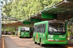 Foto de la galería: Momento de renovar la SUBE