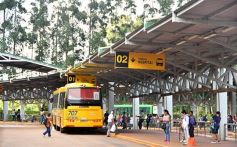 Foto de la galería: Momento de renovar la SUBE