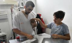 Foto de la galería: Los amigos de Posadas y su buena onda