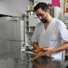 Foto de la galería: Los amigos de Posadas y su buena onda