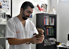 Foto de la galería: Los amigos de Posadas y su buena onda