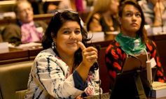 Foto de la galería: El Parlamento de la Mujer sancionó 40 iniciativas