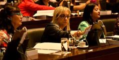 Foto de la galería: El Parlamento de la Mujer sancionó 40 iniciativas